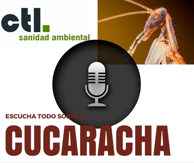 podcast 2 sobre cucarachas
